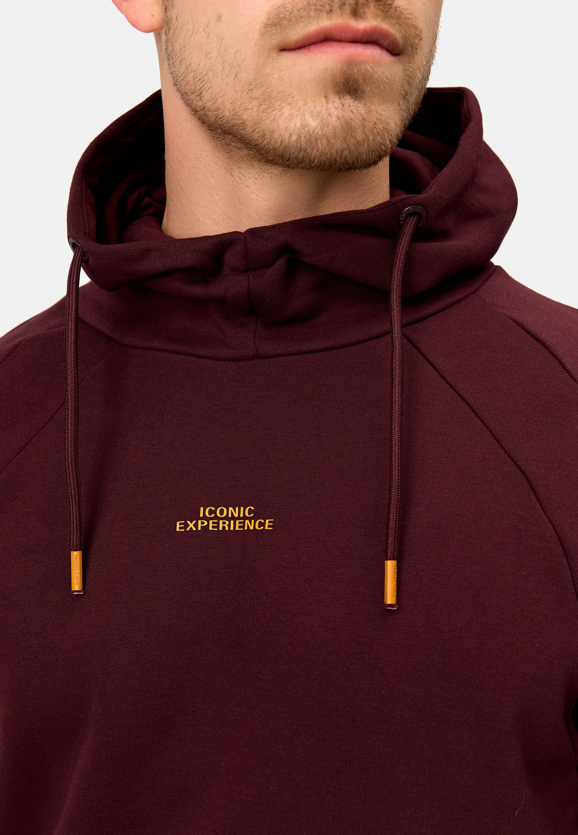 Kapuzenpullover INVir Produktbild